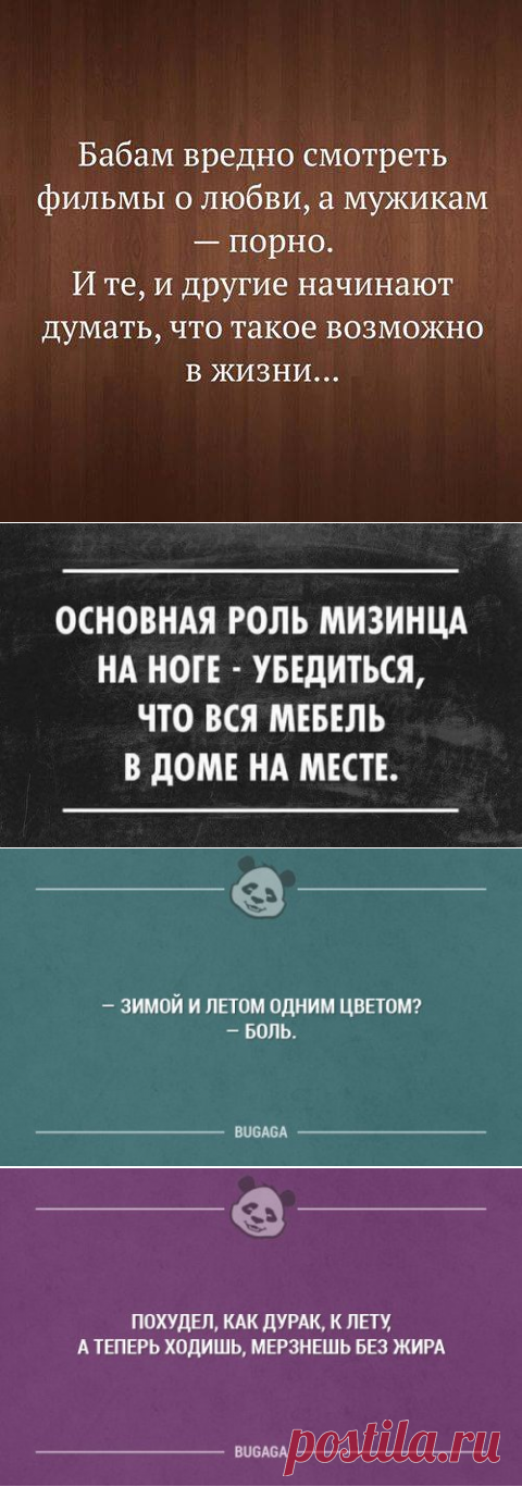 Забавные картинки и прикольные фото (40 шт)