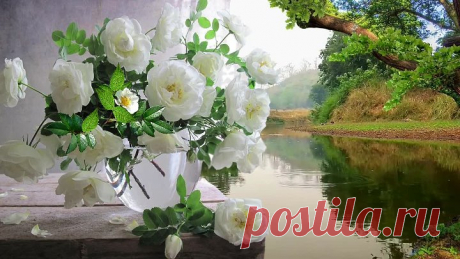 РОДНАЯ ЗЕМЛЯ.