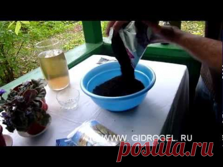 Гидрогель для цветов. Посадка фиалок. Часть 2 (из 3-х) - YouTube