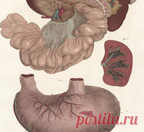 Регулируем селезенку и желудок поднятием одной руки! Экология здоровья: Описанные упражнения улучшают функцию переваривания пищи, рекомендованы для предотвращения и лечения желудочно-кишечных заболеваний, а также укрепляет мышцы шеи и предотвращает заболевания и травмы шейных позвонков и приток крови к голове и мозгу, улучшает равновесие и устраняет усталость, головокружение и другие нарушения центральной нервной системы