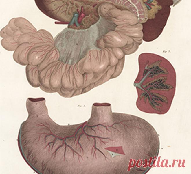 Регулируем селезенку и желудок поднятием одной руки! Экология здоровья: Описанные упражнения улучшают функцию переваривания пищи, рекомендованы для предотвращения и лечения желудочно-кишечных заболеваний, а также укрепляет мышцы шеи и предотвращает заболевания и травмы шейных позвонков и приток крови к голове и мозгу, улучшает равновесие и устраняет усталость, головокружение и другие нарушения центральной нервной системы