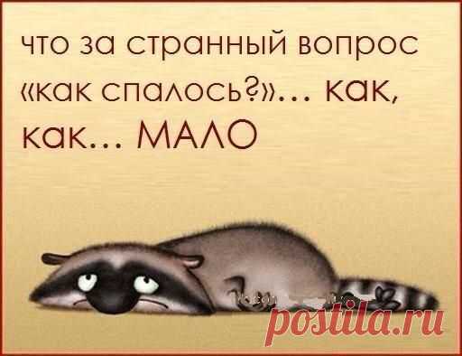 -‘๑’- С Нами Стыдно, зато Весело -‘๑’-