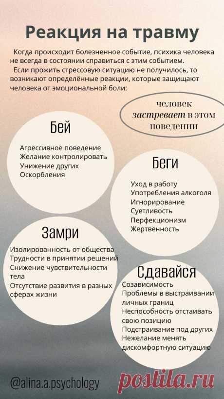 Изображение пина-истории