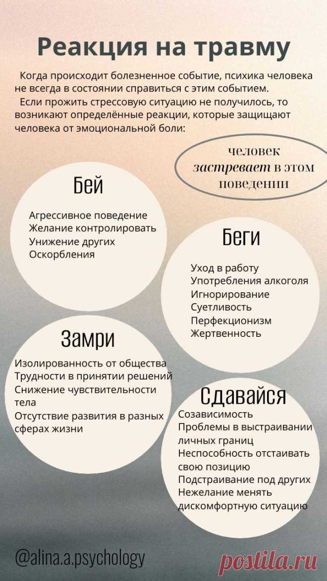 Изображение пина-истории