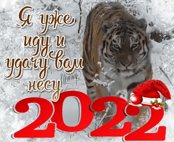 Новый год>C наступающим!
