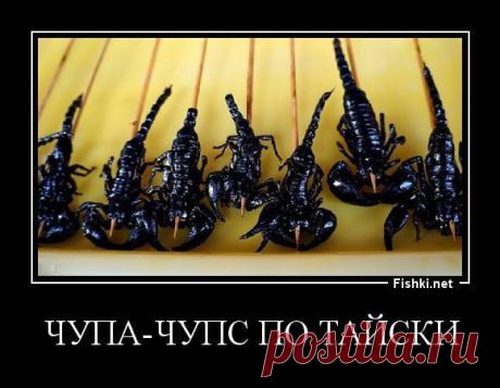 КанапЭЭЭЭЭЭЭЭЭЭ
