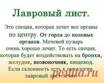ЛАВРОВЫЙ ЛИСТ В ПОМОЩЬ