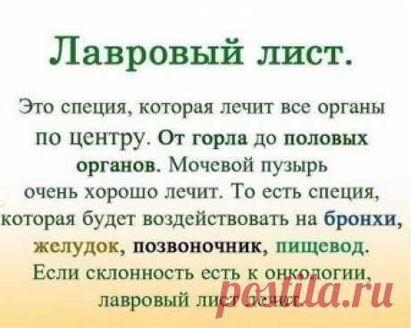 ЛАВРОВЫЙ ЛИСТ В ПОМОЩЬ