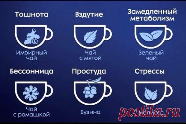 «На заметку https://t.co/1wn4blP9Gh»