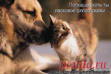 Мой Мир@Mail.Ru