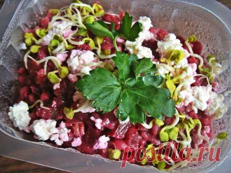 Салат из вареной свеклы - 13 простых и вкусных рецептов