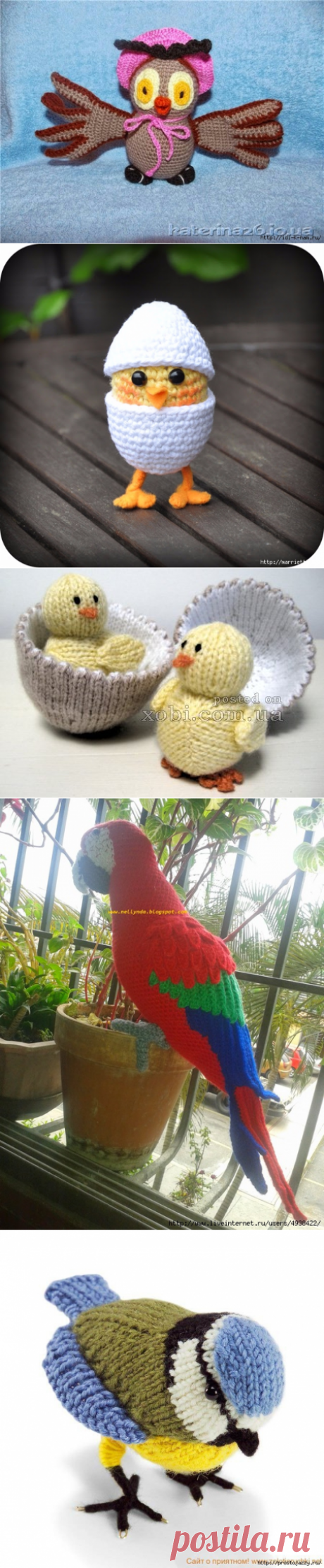 КУРОЧКИ, ЦЫПЛЯТА, ПТИЦЫ | Записи в рубрике КУРОЧКИ, ЦЫПЛЯТА, ПТИЦЫ | Дневник Синтез - ТО ЧТО СЛУЧАЕТСЯ, СЛУЧАЕТСЯ ВОВРЕМЯ.