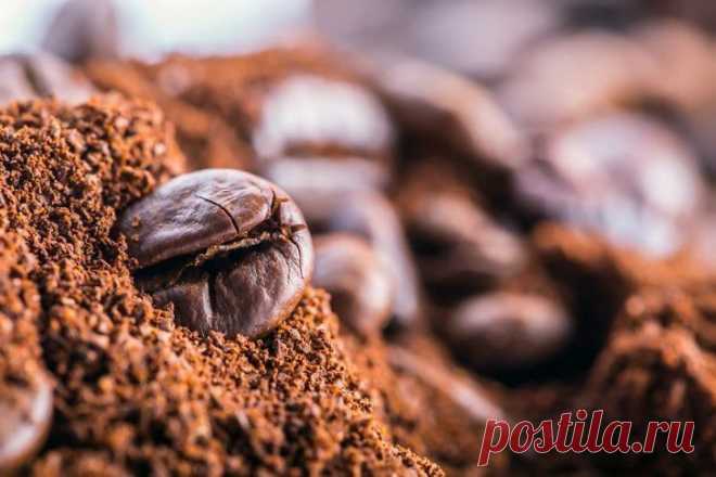 13 idėjų, kaip panaudoti kavos tirščius, kurių dar nežinojote