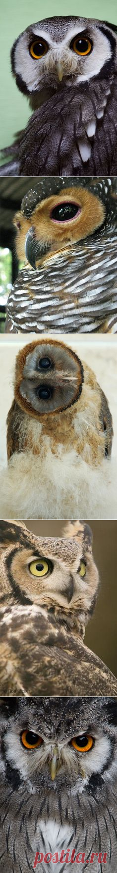 Pinterest • Всемирный каталог идей