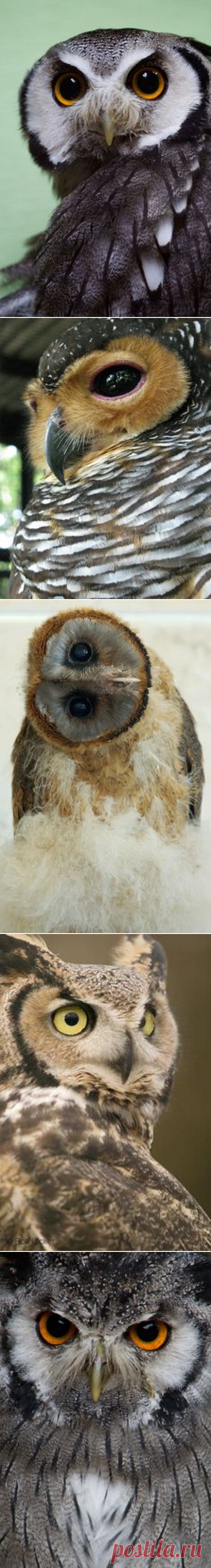 Pinterest • Всемирный каталог идей
