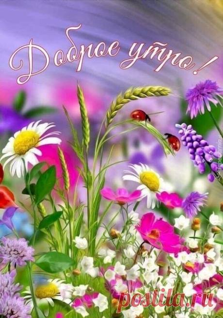 Выпуск №4220 - выпуск анекдотов сайта вокруг смеха