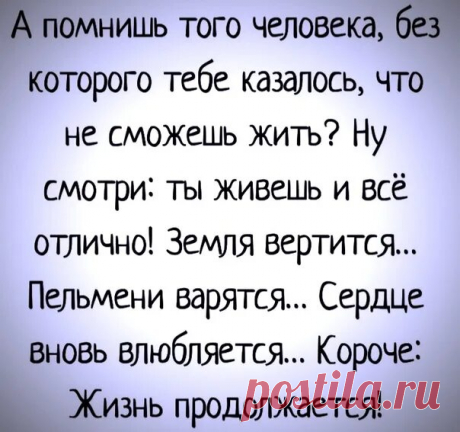 Яндекс Картинки: поиск похожих изображений