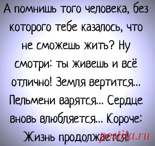 Яндекс Картинки: поиск похожих изображений