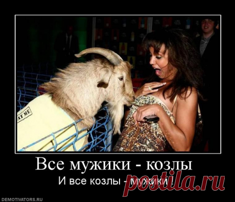 Первой девушкой, которая поняла, что все парни козлы, была сестрица  Аленушка из сказки!