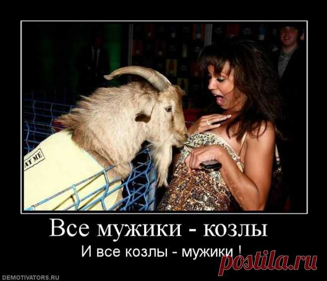 Первой девушкой, которая поняла, что все парни козлы, была сестрица  Аленушка из сказки!