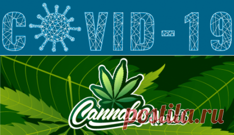 Cannabis Market Size, Research | Marijuana Industry Growth 2026