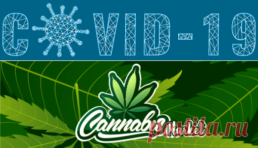 Cannabis Market Size, Research | Marijuana Industry Growth 2026