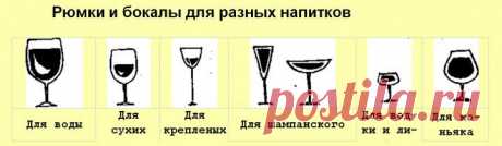 (+1) - Как и с чем подавать вина и напитки | Любимые рецепты