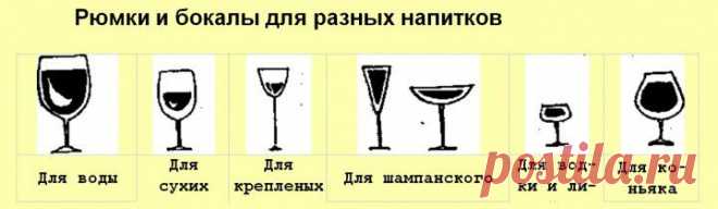 (+1) - Как и с чем подавать вина и напитки | Любимые рецепты