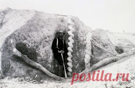 Штопор дьявола - загадочные спирали в Небраске (США) | "Хронотон" - прошлое рядом... | Яндекс Дзен