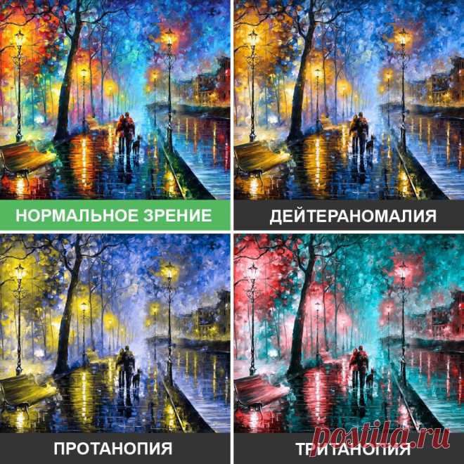 Вот как дальтоники видят мир