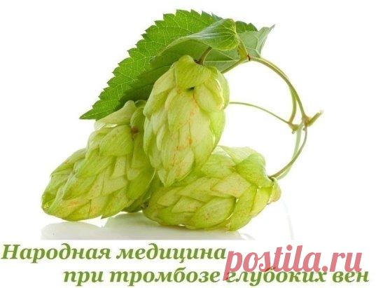 Хмель, каштан, яблоки и мед при тромбозе глубоких вен
Народная медицина рекомендует естественные природные средства, помогающие рассасыванию тромба. Основное средство при тромбофлебите – каштан конский. Нужно употреблять каштановую настойку и каштановое масло.
Продукты, способствующие разжижению крови – это чеснок, лук, свекла, томатный сок, оливковое и льняное масло, лимоны, семечки подсолнуха, какао, шоколад, рыба, рыбий жир, овсяные хлопья. Это ягоды малины, смородины, вишни, черники, клюкв