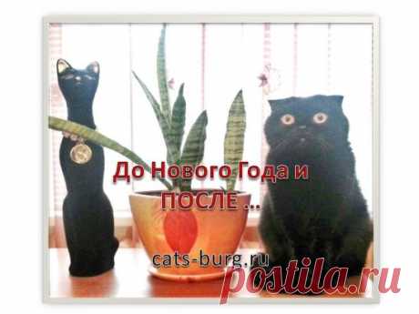 (24) Одноклассники