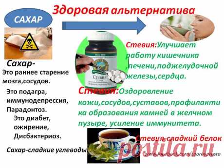 Сахарозаменители. Польза и вред. Стоит ли игра свеч?!
В наше время все большее количество людей стало переходить на правильный образ жизни, а именно в равной степени переплетать отдых и работу над собой по средствам тренировок в тренажерных залах, фитнес центрах и занятий в домашних условиях. Еще одним нюансом ведения такой здоровой жизни является соблюдение принципов правильного питания, в списке которых напрочь отсутствует употребление вредных продуктов