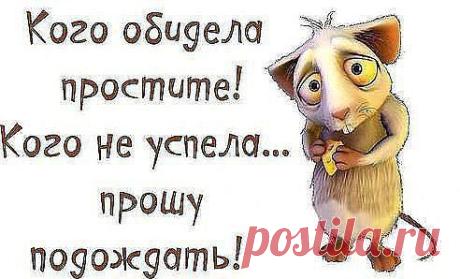 Блог сайта «Приколисты»