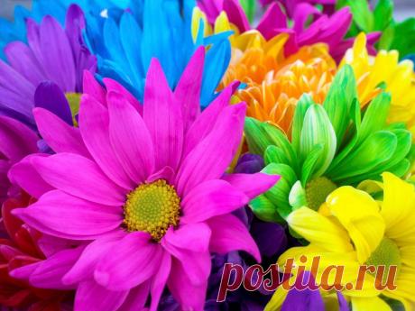 радуга: 34 тыс изображений найдено в Яндекс.Картинках