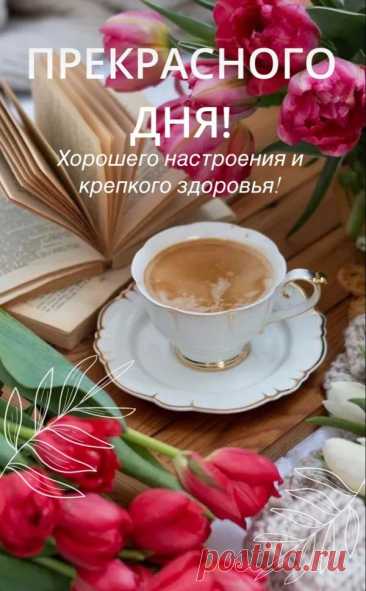 Солнечные открытки хорошего настроения на весь день наполнены яркими красками и позитивными пожеланиями, способными зарядить энергией с самого утра.