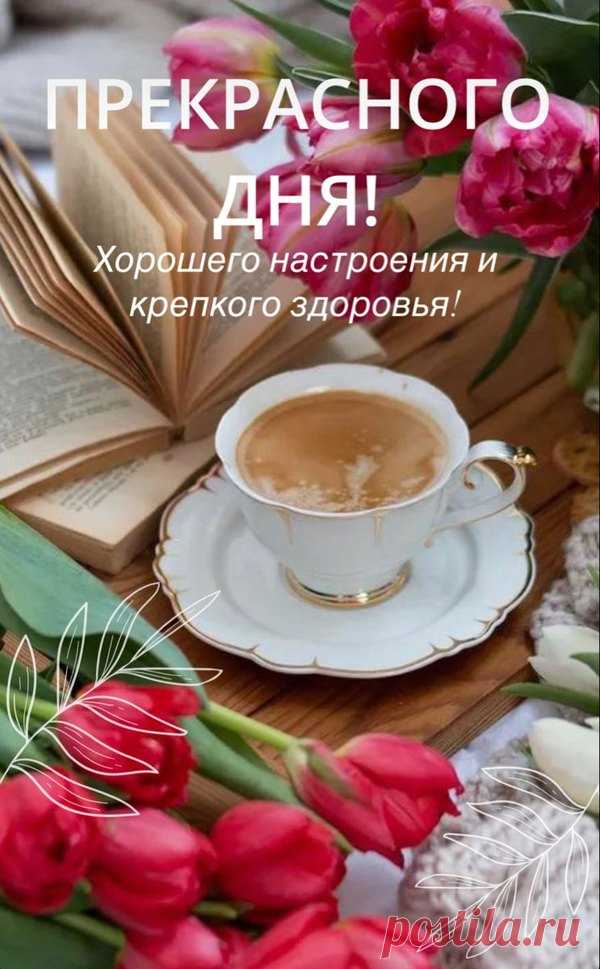 Солнечные открытки хорошего настроения на весь день наполнены яркими красками и позитивными пожеланиями, способными зарядить энергией с самого утра.