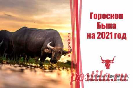 Гороскоп Бык на 2021 год для женщин и мужчин