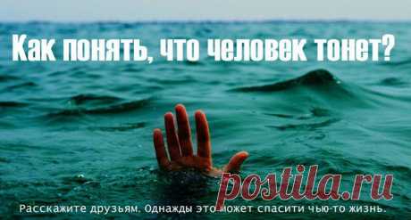 Утопающие редко похожи на тонущих (5 фото) | Хитрости Жизни