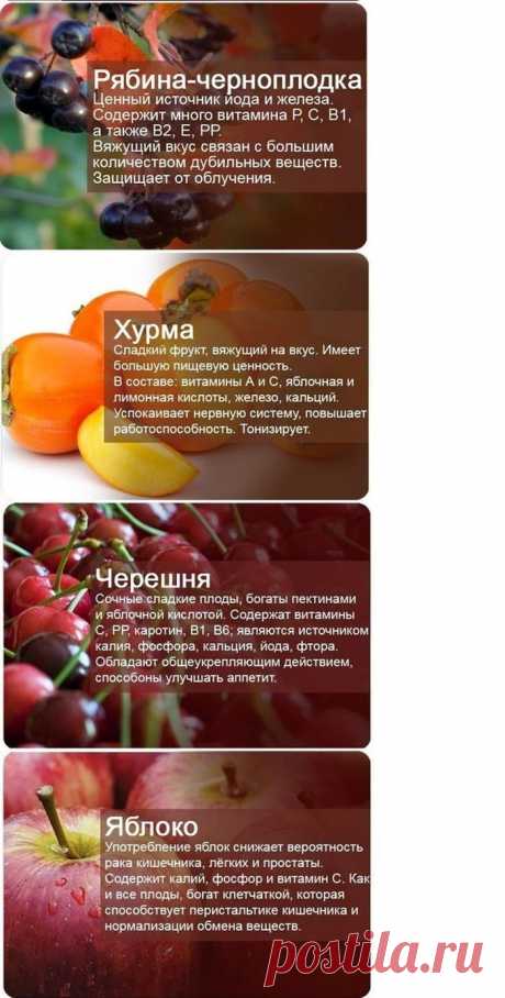 О пользе фруктов и ягод | Я ЗДОРОВ!