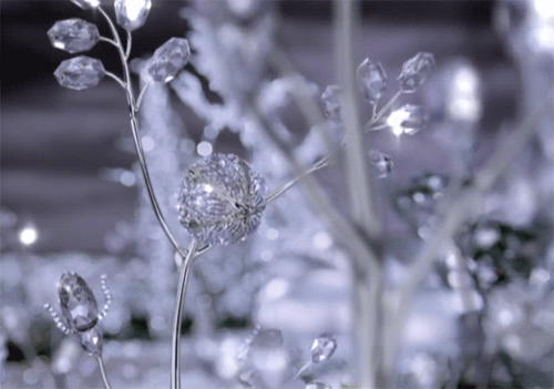 Фотографии ИЮЛЬКА ******** - 582 фото в Моем Мире.