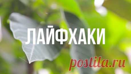 Интересные новости