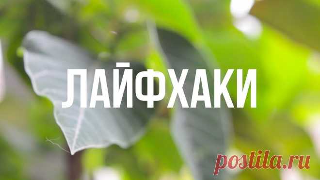 Интересные новости