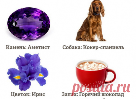 В каком месяце вы родились? Ответ поможет раскрыть поразительные секреты!