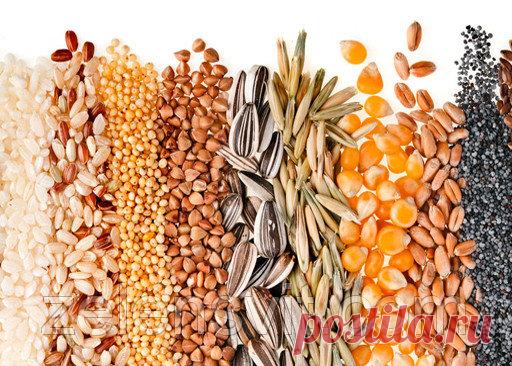 Сроки хранения и прорастания семян овощей (таблица). Статьи компании «ЗЕЛЕНИЙ СВІТ- интернет магазин для фермера, садовода, огородника»