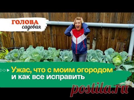 Голова садовая - Ужас, что с моим огородом и как все исправить