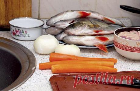 Окунь запеченный в духовке: (рецепты приготовления речного окуня)