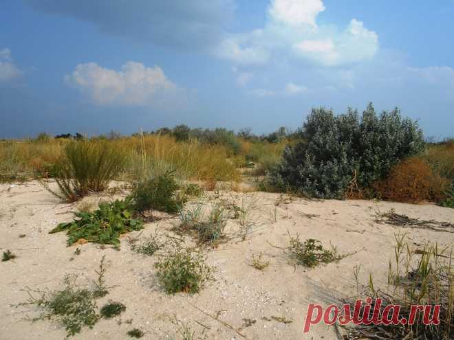 Лето, с морем и яхтой, июль 2016 - 30 Июля 2016 - Персональный сайт