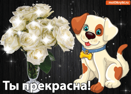 Прикольные и красивые поздравительные откытки - Бесплатно на https://moiotkrytki.ru