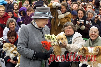 Раскрыта дальнейшая судьба корги королевы Елизаветы II. Королевский биограф Ингрид Сьюард раскрыла дальнейшую судьбу питомцев британской королевы Елизаветы II. В последние месяцы жизни королева держала пару корги, которых звали Мьюик и Сэнди, дорги по кличке Кэнди и двух кокер-спаниелей. По мнению Сьюард, о них позаботятся родственники королевы.
